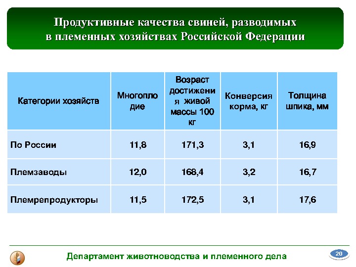 Материалы выступления В. В. Лабинова на Международной конференции "Свиноводство-2013. Итоги первого года в реалиях ВТО"